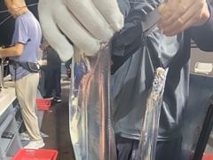 [진해] 준내만 4지급 텐빈 은빛 갈치 마릿수 쿨러 가득 조황 오늘 무조… 사진