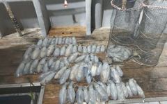 무늬팁런 초초초대박~!! 오늘 긴급자리여유 예약가능~!!  사진