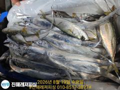 내만칼치 ㅡ바글바글,초저녁부터 꾸준히 올라오네요. 내일 예약가능 사진