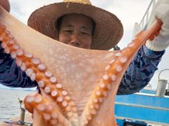 21인승 비너스호문어조황 사진