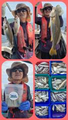 [백조기조황] [무창포 플러스호] 8월 19일 왕 백조기 낚시 만쿨조황~! 신나는 먼바다 왕백조기낚시 사진