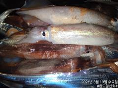 [갈치조황] 완도 일신호 갈치 조황(2026.8.19) 사진