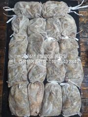 8월19일 굿조황 ...군산 홈런호 야간 문어 마무리 조황 입니다.홈런호에 승선하신 조사님들 수고 하셨습니다.