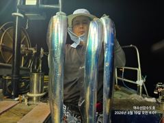 8월19일 입항  여수 신강수도호 갈치조황 사진