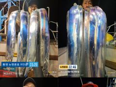 ＜＜통영 뉴명륜호 14인승＞＞ 3지 이상 大치들!!! 쿨러가득^^ (목 1자리,금 3자리) 사진