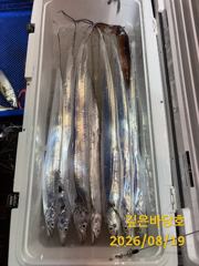 [제주 깊은바당호] 8월 19일 갈치 조황입니다 사진