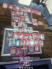 [통영] 넘버원호 무늬팁런 피딩 비상비상 사진