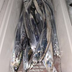[마산] 왕갈치 손맛 굿굿굿!!특급포인트로 직행~~ 사진