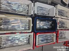 20일새벽,내만칼치 텐빈,루어 씨알점점 엄청나게 잡고~목,금,토욜 예약가능~ 사진