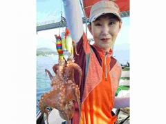 돌문어!! 연일 키로급외 쓸만한넘들 많이 올라오네요.(예약가) 사진