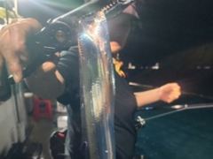 [진해] <<내만갈치>>폭발적인 입질 손 맛 굳 사이즈 좋심더 사진
