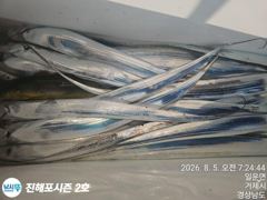 [진해] 원도권텐빈 출조함니다 사진