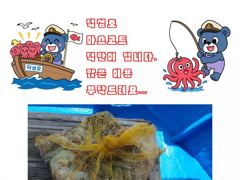 삼천포덕성호 돌문어 출조 예약 받습니다.(2026년 8월 20일 조황사항) 사진