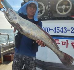 [격포 블루마린호] 8/20 민어 외수질 조황 사진