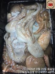 문어 무게가 솔찬하네요(25일자리여유) 사진