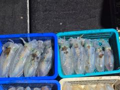 8.20일 무늬오징어 무시급 부터 고구마.감자 까지 다양한 싸이즈 손 맛보고 왔습니다 사진