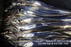 7지.5지 초저녁부터 물어주는 대박조황!!믿고오시면 됩니다.마량대성1호 010-7289-7500  사진