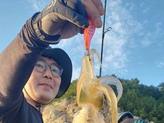 무늬팁런 k급외 싸이즈급들로 마리수 ~