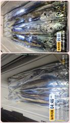 통영 뉴 아시아호>>  대 갈치 포인트 찾아 먼 곳으로~ 오늘 금요일 자리 여유 사진
