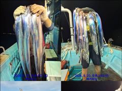 통영백가피싱)이제 시작된 왕갈치 사냥!씨알이 좋습니다/밤새 꾸준하게 사진