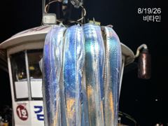 [진해] 먼바다갈치(외줄) 오늘,일,월~//갈치 텐빈(루어) 월,화,수~… 사진