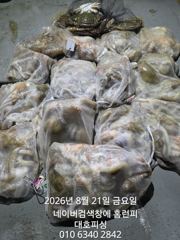 20일 대호피싱호 야간문어 12인 대박조황 입니다 오늘 여유자리 있네요 사진