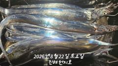 [진해] 내만갈치 씨알급으로 손맛보고~~~~예약가능 사진