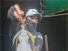 1
					
				
																[통영] 무늬오징어 핫조황~									1 사진