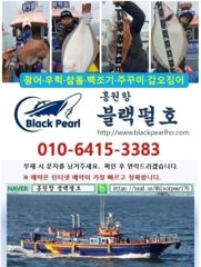 홍원항 꽃게낚시 8월 21일(금) [[[ 블랙펄호 ]]] 금어기해제 첫날 사각사각 [[ 꽃게 ]]로 손맛 보고 쿨러가득 채워 입항합니다. 사진