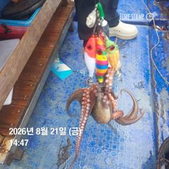 포항 종방) 제2대일호 8월 21일 조황 사진