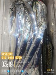 준내만갈치 마릿수,사이즈 모두 대박입니다! 일요일부터 자리있어요~ 사진