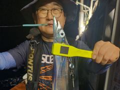 지금 대 갈치 출동 사진