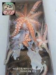 여수 짱구호  8월20일(목) 문어(장원30수) 조황 사진