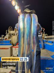 흥부낚시)3지 4지급들 계속 올라와요  일욜부터 자리는 여유  사진