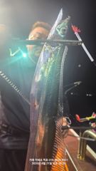 8월21 적호조황 사진