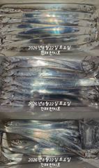 [진해] 내만갈치 씨알급으로 손맛보고~~~~예약가능 사진