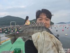 35전후 마릿수 진행중 오전낚시 [1] 사진