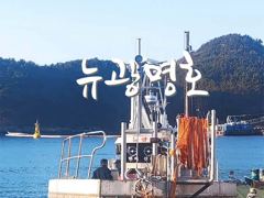 [VIP 광명호] 먼바다 큰넘들 쿨러 가득 채우려 갑니다. -- 26일(수), 27일(목), 28일(금) - 자리여유 -- 사진