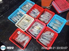[포항] 》21일야간 최종!《 무늬 뽁뽁! 싸이즈 굿! 마릿수! 사진