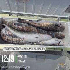 임원항드래곤호 왕대구 조황입니다 사진