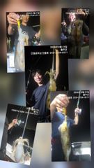 21일간절곶피싱  팀런 무늬조황 사진
