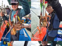 [사천] 22일돌문어조황,삼천포,삼포김선장(낼,자리여유~예 사진