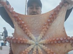 공현진 22인승 뉴창명호 왕문어 조황 사진
