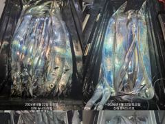[진해] 준내만 갈치 4지 쌍걸이까지 ?미치것네~~(화욜부터 예약  가능… 사진