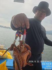 [사천] 내만 돌문어 조황 내일 예약 중 사진
