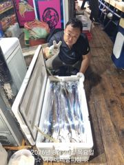 갈치 3지~6지까지 씨알좋은 녀석들이 쿨러가득 나오고 있습니다   화요일자리여유   갈수록 씨알이 좋아지네요   쿨러가득 채우러 가실분들 미리미리 연락주세요  사진