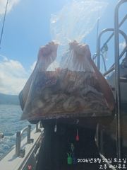[고흥 바다루호] 8월22일 문어낚시 조황입니다. 사진