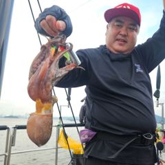 8월22일 토요일 주간문어 사진
