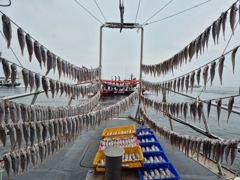 8월 22일 홍원항 뉴아일랜드호 백조기 [이벤트] 쌍걸이 우수수! 조황 사진
