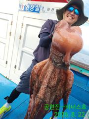 21인승 비너스호 대왕문어조황 사진